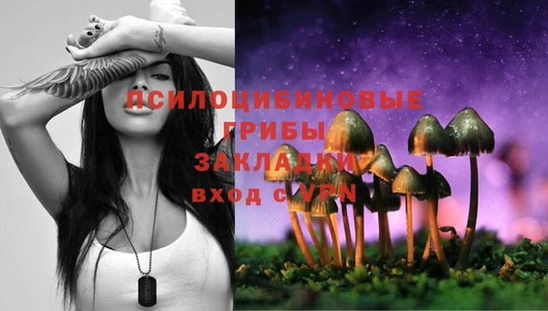 наркотики Заводоуковск